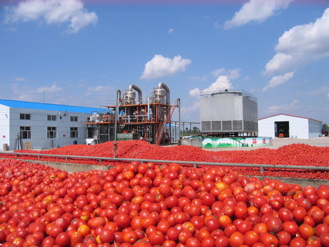Arkhum (Tianjin) Health Technology Co., Ltd. linha de produção do fabricante